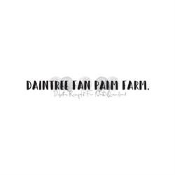 Daintree Fan Palm Farm