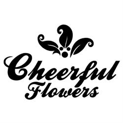 Cheerful Flowers