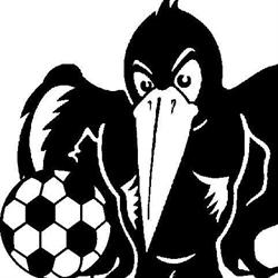 Tanunda Netball Club