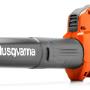 Cordless Blowers