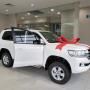 New & Used Car Sales