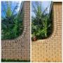 Soft & Pressure Washing Wall with double coat of solution