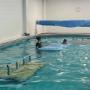 Hydra Zen Swim School Pool