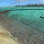 Hydroseeding