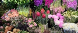 Market Fresh Flowers
