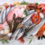Seafood