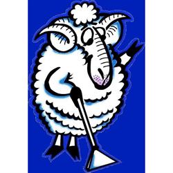 Jumbuck Cleaning & Restoration