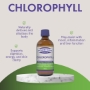 liquid chlorophyll