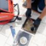 Blocked Drain Perth | Southline Plumbing & Gas