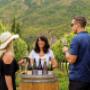 Happy Sips Wine Tours - Winery Tours