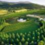 Happy Sips Wine Tours - Winery Tours