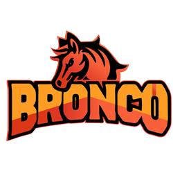 Bronco Roofing Sunshine Coast