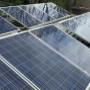 Solar panel bird proofing