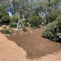 Arborists Canberra