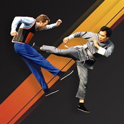 Kung Fu Sydney