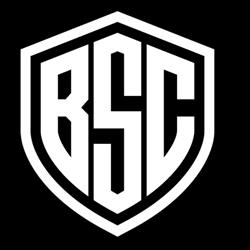 Bendigo Safety Consulting