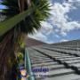 Gutter Cleaned Bendigo