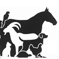 Pet And Farm