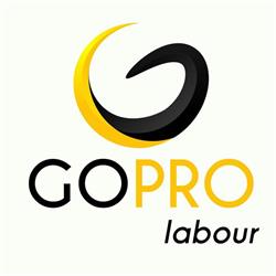 GoPro Labour Pty Ltd - Labour Hire Sydney