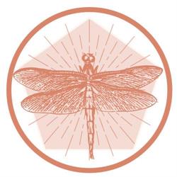 Lang Acupuncture & Holistic Health