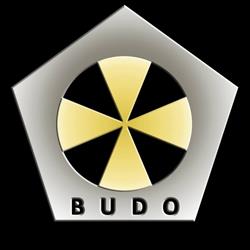 Budo Martial Arts