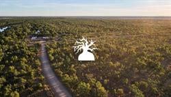 Australia's Boab Country