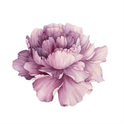 Sydney Bloom Massage