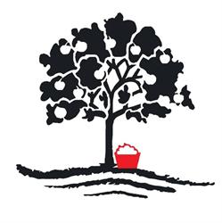 Roma Orchard