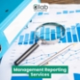 Management Reporting Services