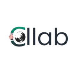Collab Accounting Pvt Ltd
