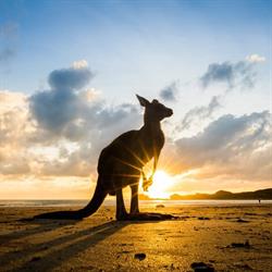 Cape Hillsborough Nature Tourist Park