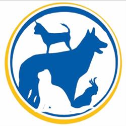 James Street Vet Dental Unit
