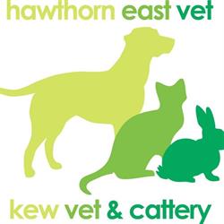Hawthorn East Vet and Kew Vet