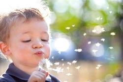 Child and Family Psychology Practice