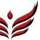 Phoenix Legal Solutions
