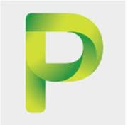 Provident Insurance Services