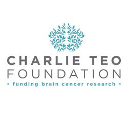 Charlie Teo Foundation