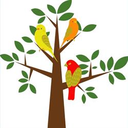 Three Little Birds Allied Health