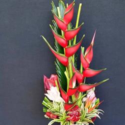 Ventons Tropical Blooms
