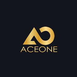 Ace One Society