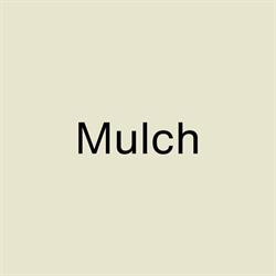 Mulch. A branding agency.