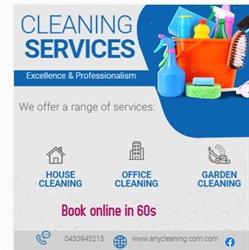 Any Cleaning services