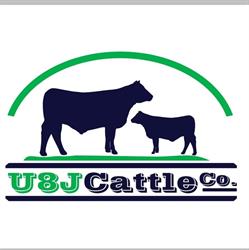 U8J Cattle Company