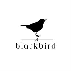 Blackbird Castlemaine