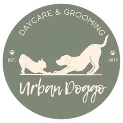 URBAN DOGGO