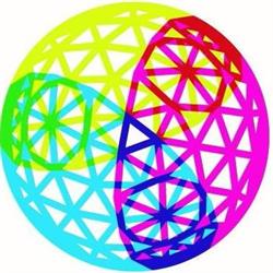 Satellite Foundation