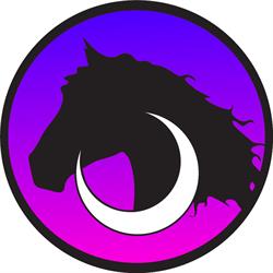 Moonlight Manor Horse Riding
