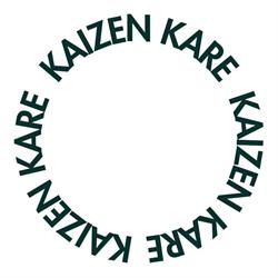 Kaizen Kare