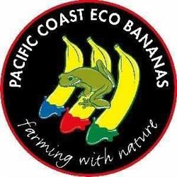 Eco Bananas