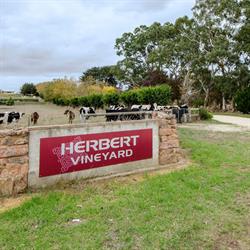 Herbert Vineyard